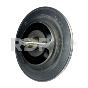 TERMOSTATO ISUZU 6BG1
