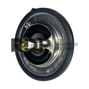 TERMOSTATO HYUNDAI GG06 RR8K
